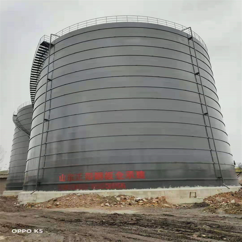 新干3万吨大型钢板库