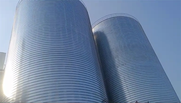 新干2座混凝土高架卷板仓